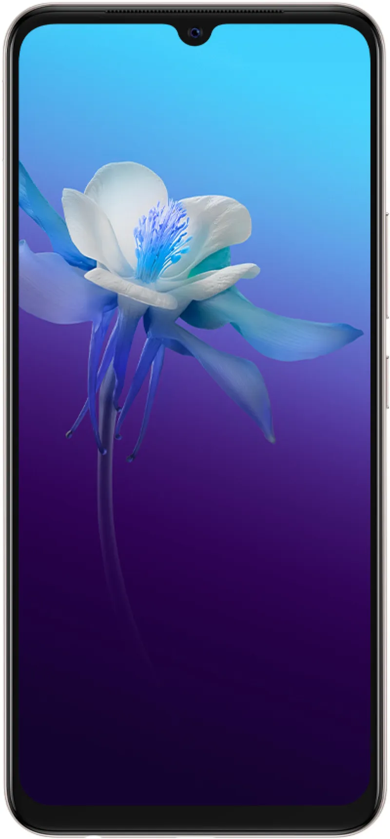 vivo V20